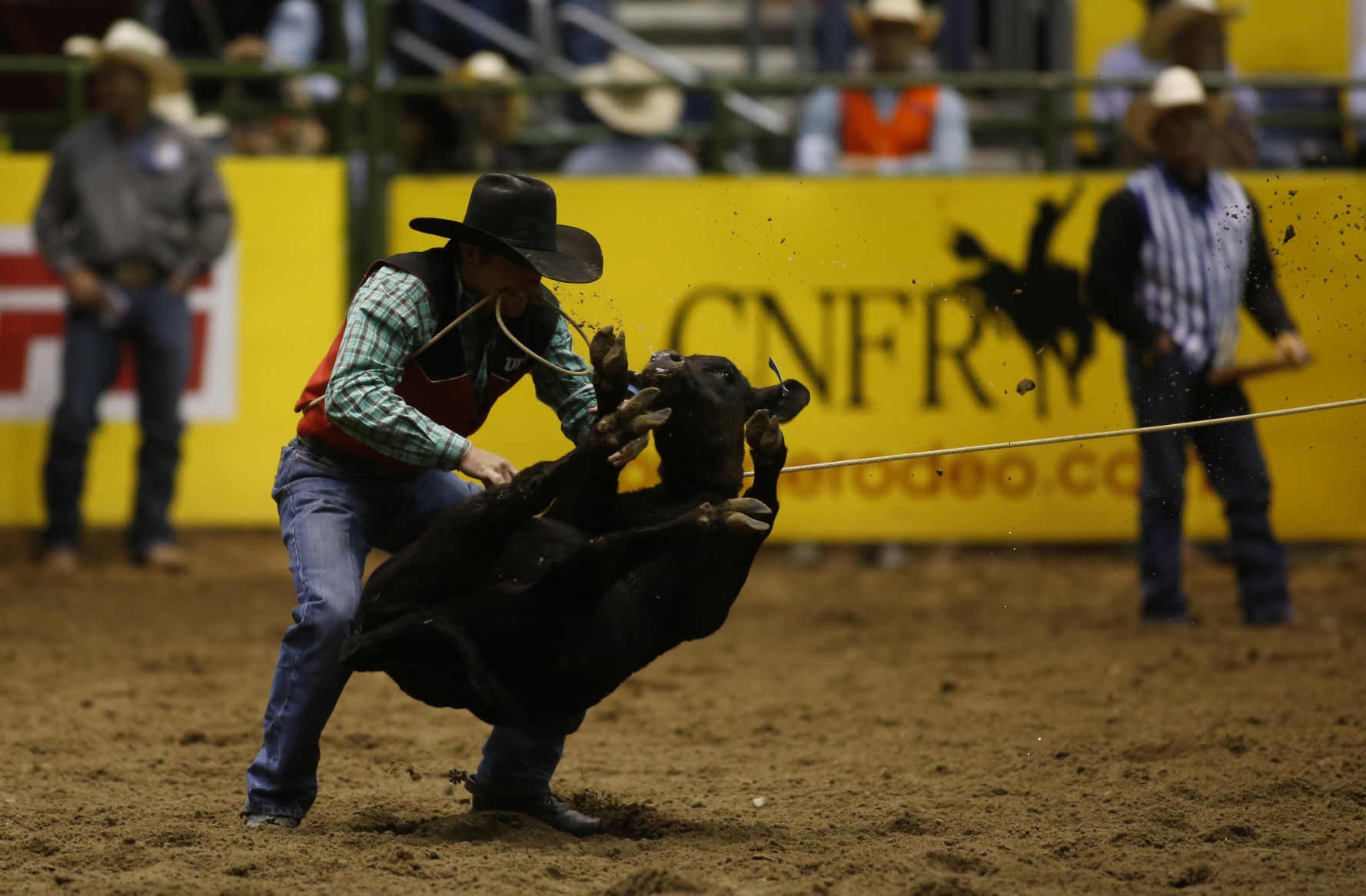 CNFR - Monday